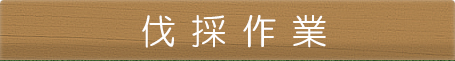 ̍