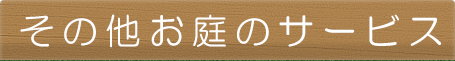 ̑̃T[rX